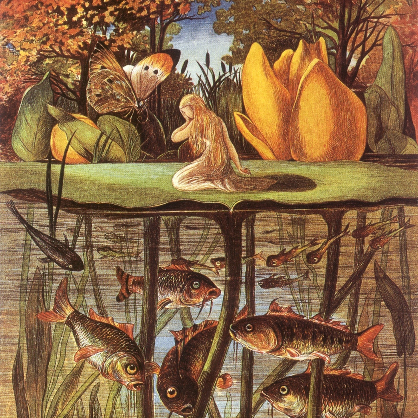 Illustration af Eleanor Vere Boyle (1872)